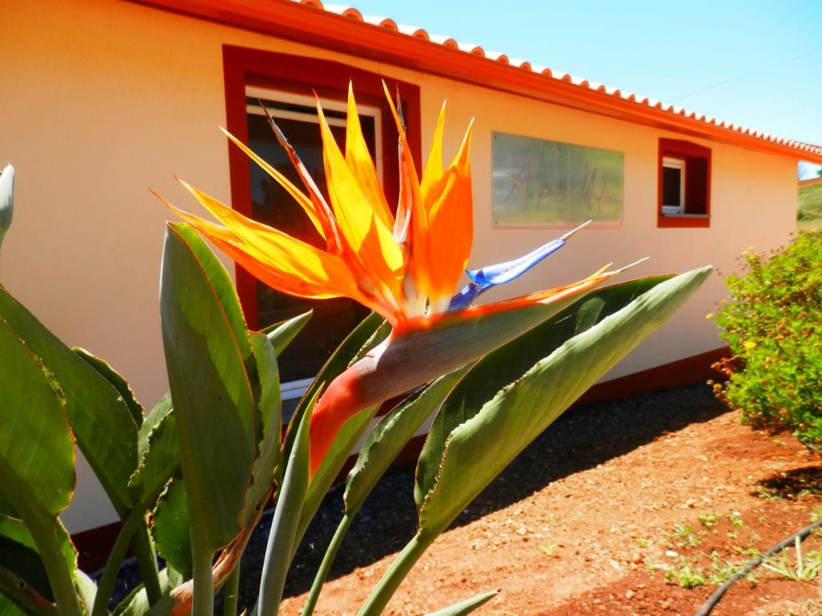 Villa Au Petit Madere Prazeres Exterior foto